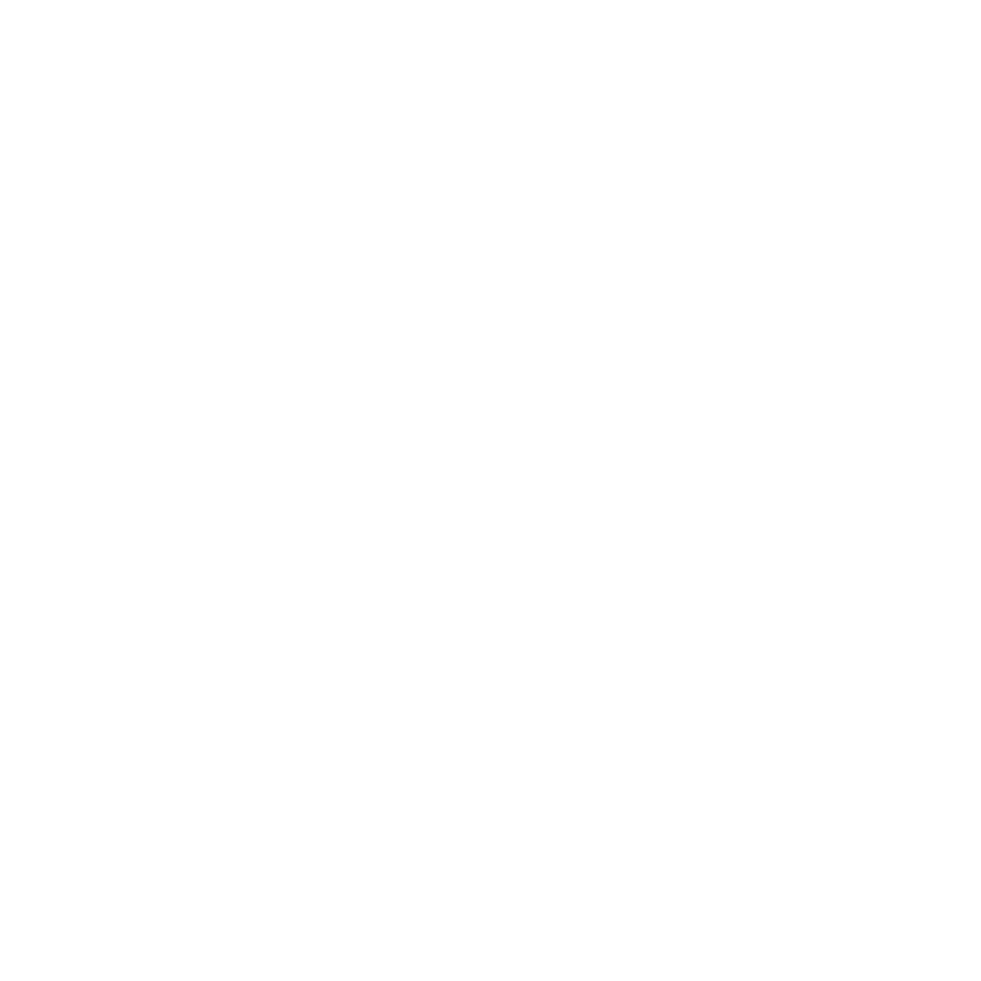 Zenit Records Logo